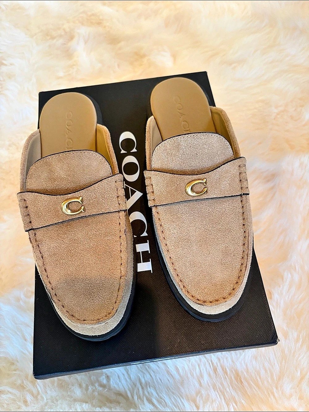 Coach Jocelyn Suede Buckles Suede Buckle Mules in Brown US 6 Gently Used Conditi